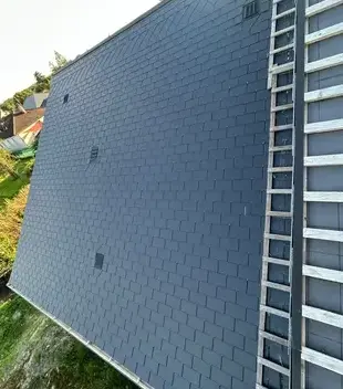 démoussage toiture à Beaugency - image 2