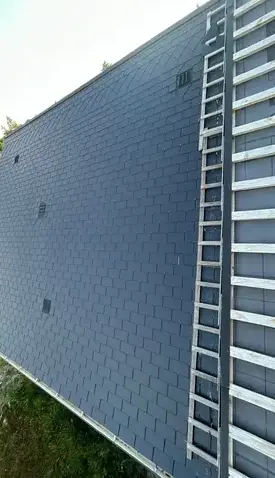 démoussage toiture Vierzon-1